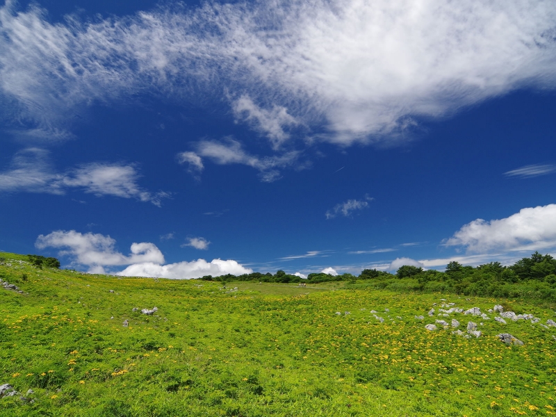 四国カルスト 天狗高原