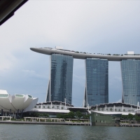 ダック・ツアー