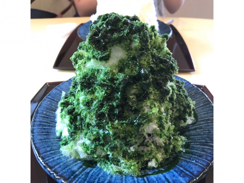 茶のちもと