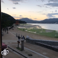 スターバックスコーヒー 厳島表参道店