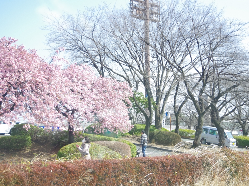 敷島公園