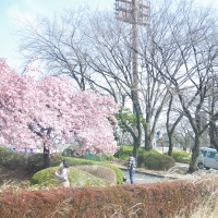 敷島公園