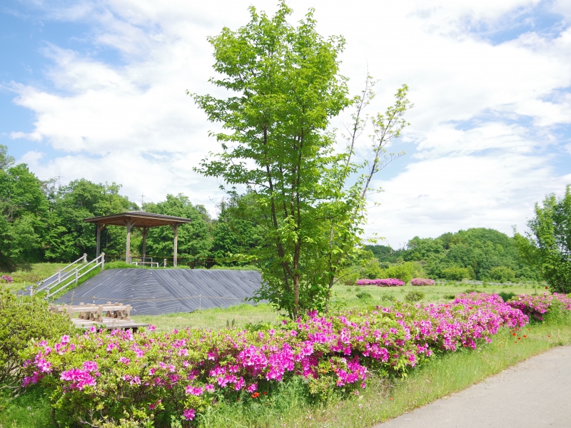 観梅公園