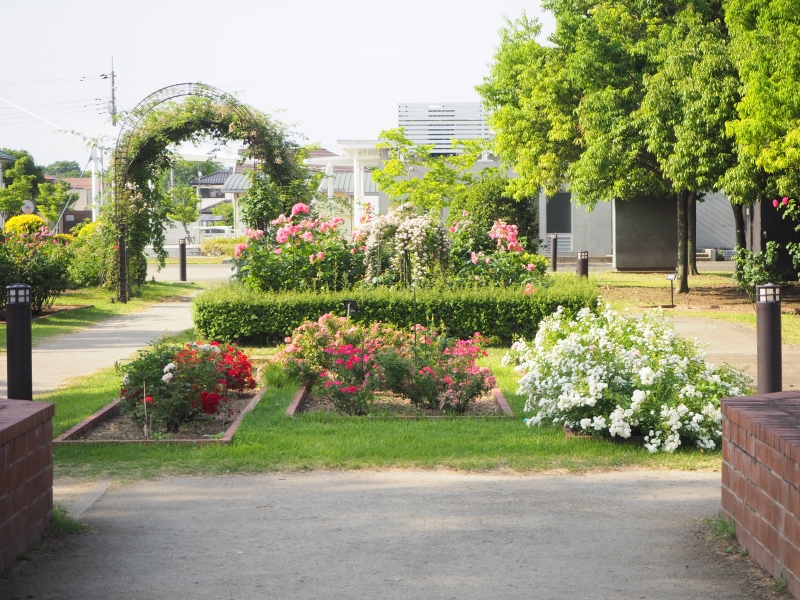 玉村町北部公園