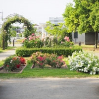 玉村町北部公園