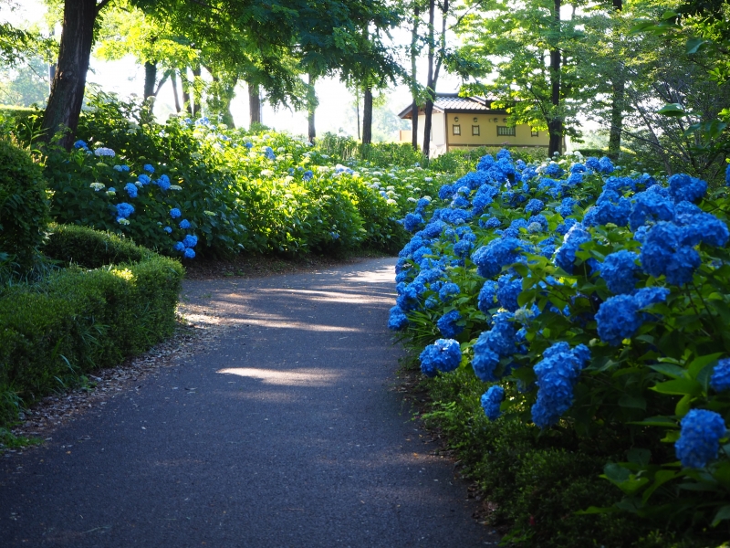 荻窪公園