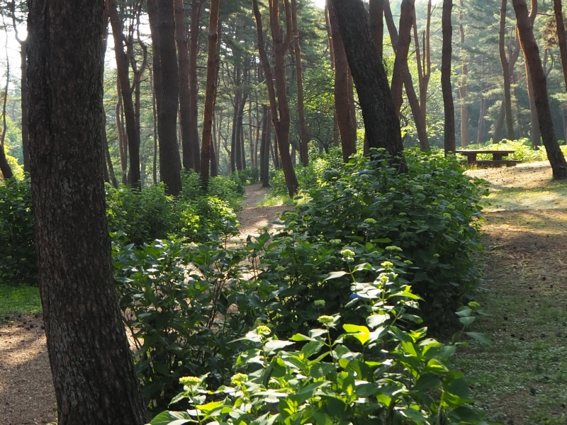 渋川市総合公園