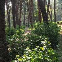 渋川市総合公園