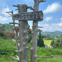 長野大岡ひなたダリア園