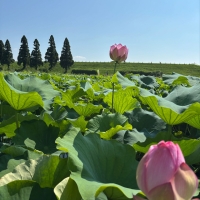 千栗土居公園(ちりくどいこうえん)