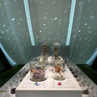 中冨記念くすり博物館