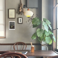 スチーム料理 おたべと