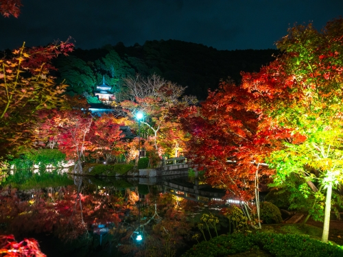 22京都紅葉の名所 穴場選 10月 11月 12月が見頃のおすすめ紅葉スポット 2ページ目