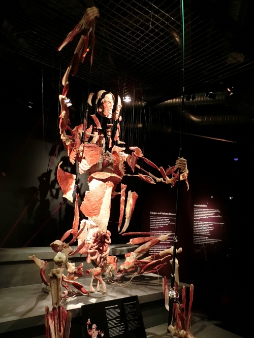 ドイツ モザイクなし ベルリン人体博物館