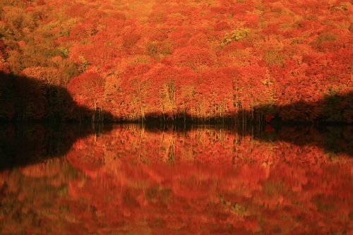 青森県は絶景の宝庫だった 感動の景色が楽しめるスポット13選