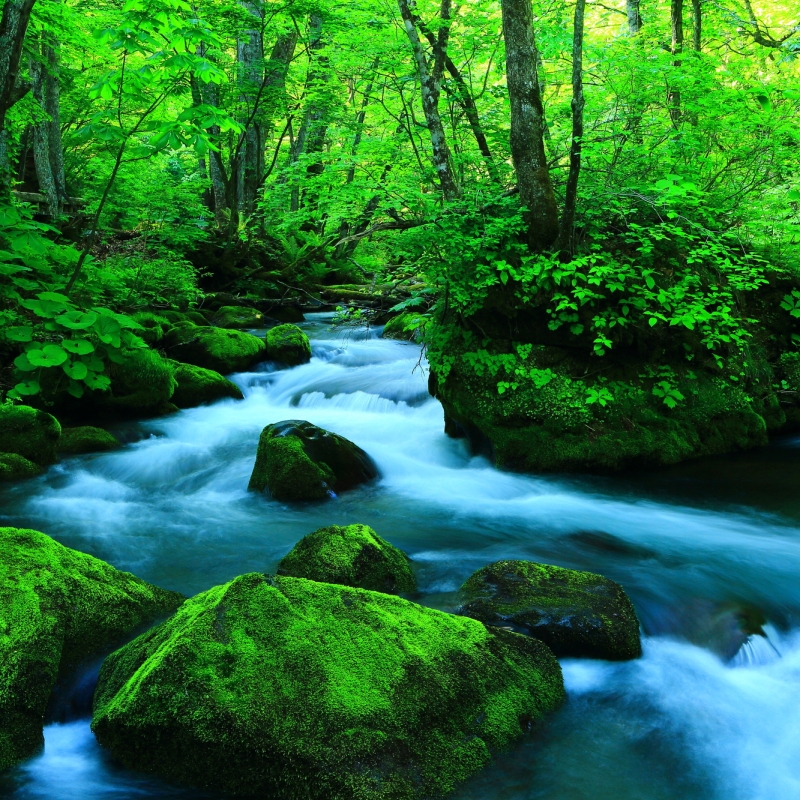 青森県は絶景の宝庫だった 感動の景色が楽しめるスポット13選