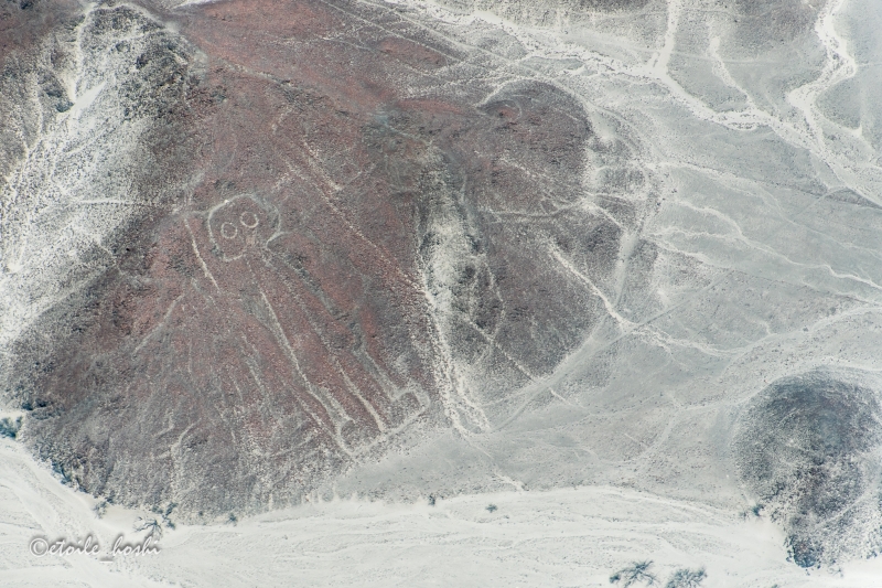 ペルー 日帰りツアーで行く世界遺産ナスカの地上絵の写真 宇宙飛行士に見える地上絵