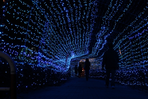 冬の京都旅行におすすめ 冬に行きたい観光スポット10選