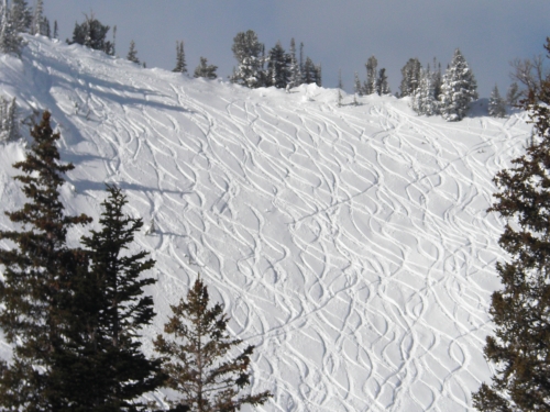 雪の季節にこそ ソルトレイクシティ へgo アメリカ ユタ州 2ページ目