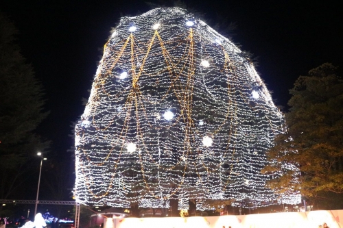 冬の絶景 Sendai 光のページェントと幻のピンクの光