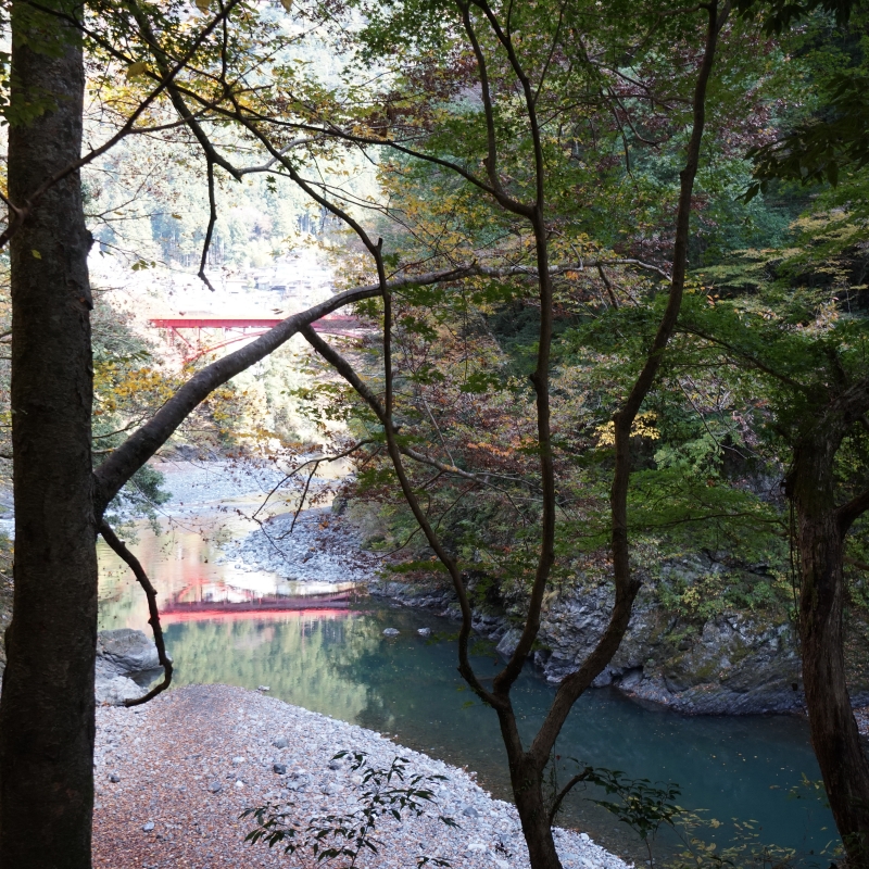 週末ドライブに最適 奥多摩 絶景ベスト3 A