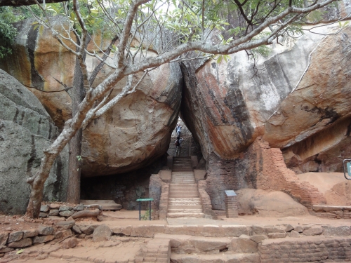 ジャングルの中にそびえ立つ巨大な岩の上には 天空の城があった 感動の世界遺産 スリランカ シーギリヤロック