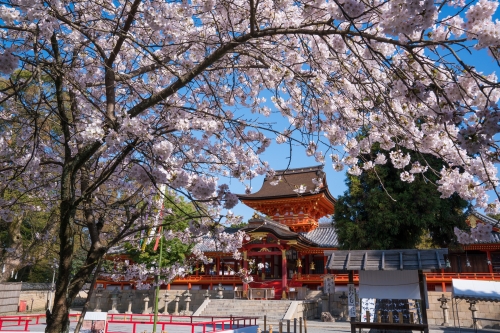 21京都のおすすめ桜名所34選 人気 穴場のお花見スポット厳選 2ページ目 21京都のおすすめ桜名所34選 人気 穴場のお花見スポット厳選 2ページ目