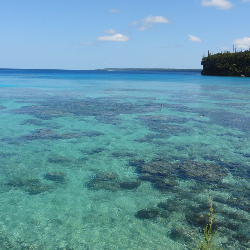 ニューカレドニア ポリネシアとメラネシアが出会う島 リフー島