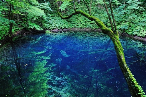 ゴールデンウィークは青森旅行 Gwにおすすめの観光スポット イベント22選