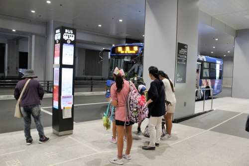 東京 シャンシャン スカイツリーを半日で 観光モデルコース