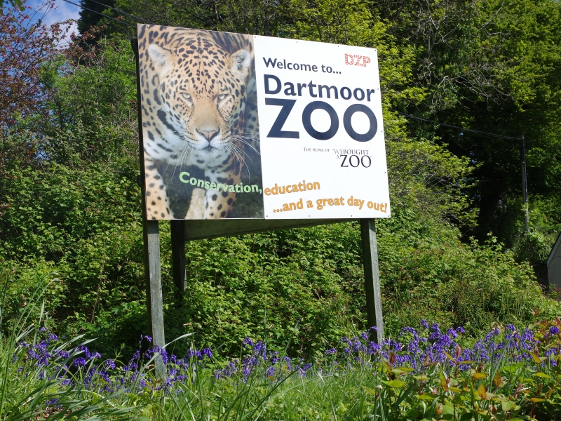 イギリス デボン ハリウッド映画のモデルとなった ダートムーア動物園 イギリス デボン ハリウッド映画のモデルとなった ダートムーア動物園