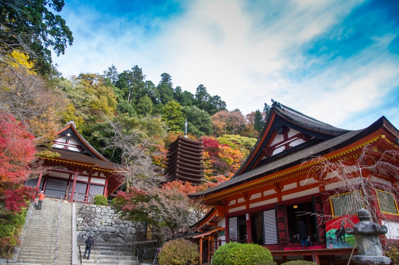 奈良県の人気観光スポットTOP35!旅行好きが行っている観光地ランキング