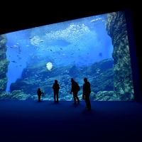 21年 八戸市水産科学館マリエント はどんなところ 周辺のみどころ 人気スポットも紹介します