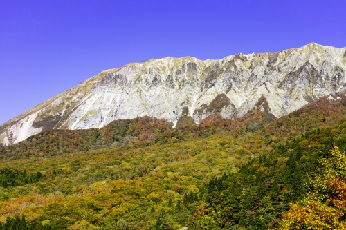 21年11月のイベント 行事37選 一度は足を運びたい全国のおすすめイベント特集