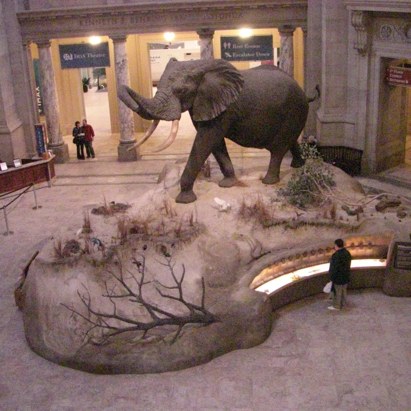 スミソニアン　スプーン　SMITHSONIAN  INSTITUTION 2025年 スミソニアン博物館群 - 出発前に知っておくべきこと