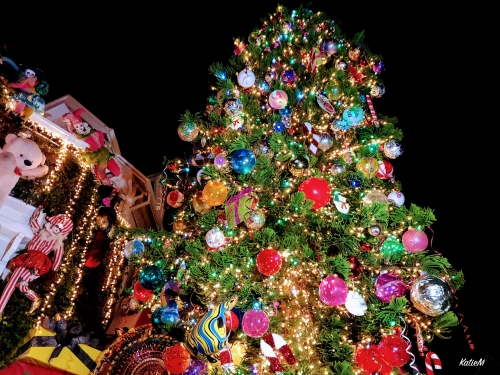 19年最新情報 サンフランシスコで見たいクリスマスイルミネーション イベント スポット8選 2ページ目