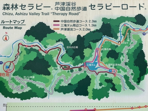鳥取 紅葉時季から晩秋が特にオススメ 神秘的な自然美に癒される 芦津渓谷 へ