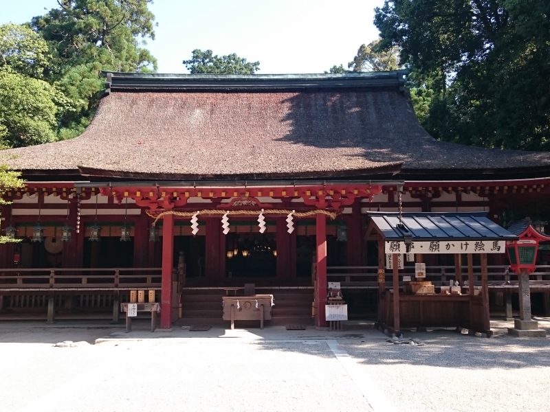 金運爆上げ　起死回生！逆境を跳ね返す！七支刀特別御守り護符　奈良石上神社 Amazon.co.jp: 金運爆上げ 起死回生逆境を跳ね返す七支刀特別御