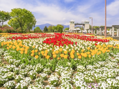 群馬 子供と行きたい観光スポット35選 子連れ旅行におすすめ
