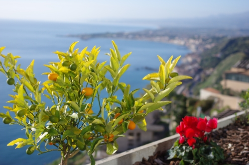 イタリア シチリア島 タオルミーナの ギリシア劇場 で絶景に息を呑む