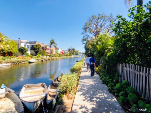 La観光に外せない ベニスビーチを100 満喫するおすすめ半日モデルコース