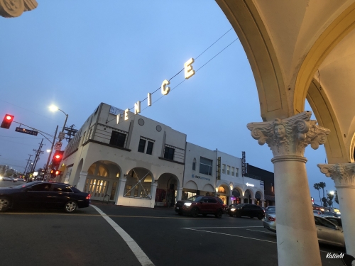 La観光に外せない ベニスビーチを100 満喫するおすすめ半日モデルコース