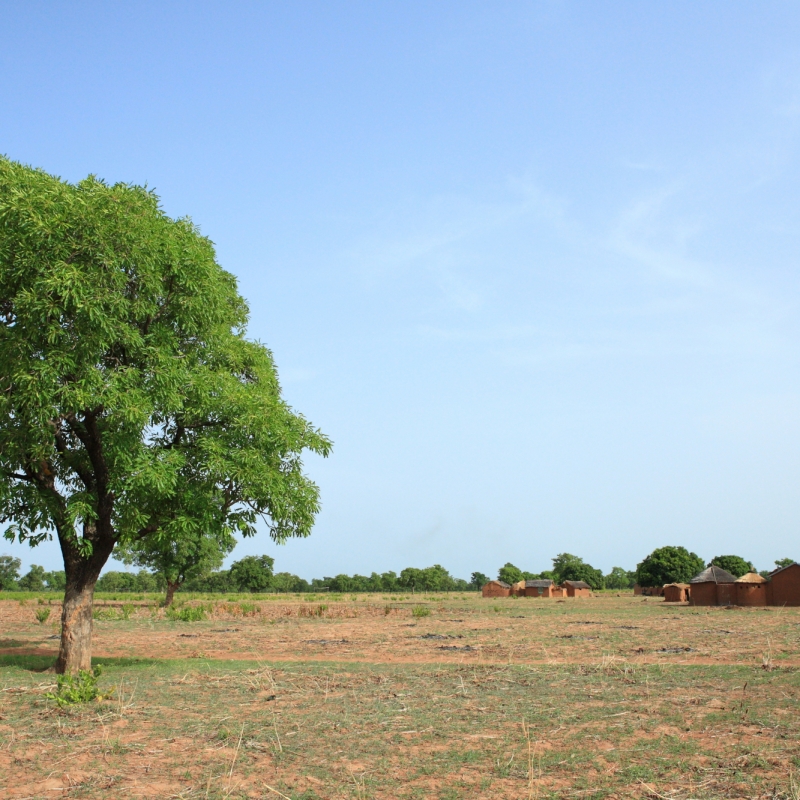 ガーナの気温 服装 旅行のベストシーズン