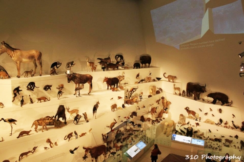 オーストラリア 旅のプランはこれでok メルボルン旅行でやるべき10のこと