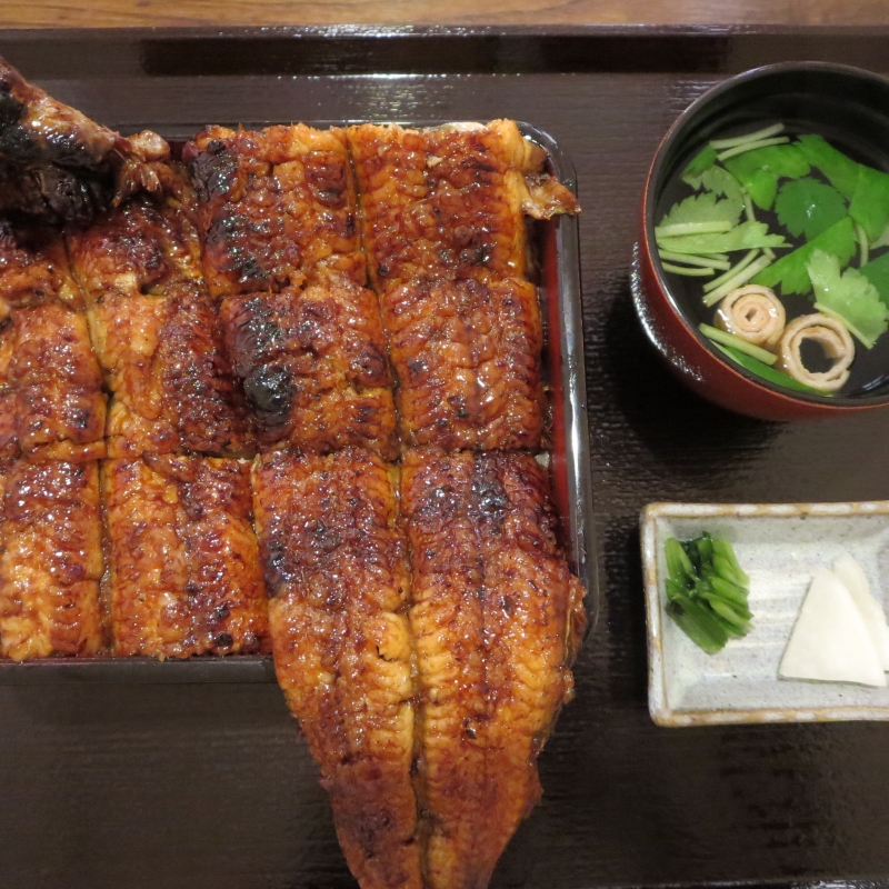 滋賀県 贅沢の極み う晴 の絶品うなぎ料理 滋賀県 贅沢の極み う晴 の絶品うなぎ料理