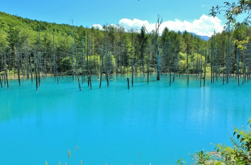 【オーダー用】北海道の風景写真 オーダー用】北海道の風景写真 オーダー用】北海道の風景写真 2025.06