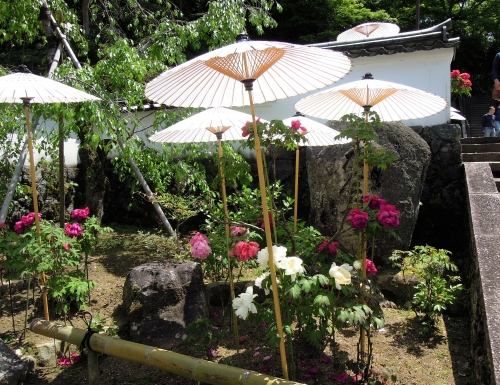 奈良 厄除けでも有名 花の名所 岡寺 へ行こう