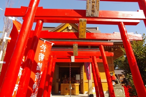群馬パワースポット 大切な人の健康祈願 病気平癒をお願いできる神社6選