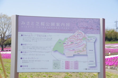 群馬 丘一面がパステルカラーに染まる高崎市みさと芝桜公園