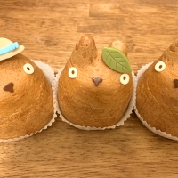 髙島屋 - オードリー オードリー 日本橋高島屋店 [AUDREY]
